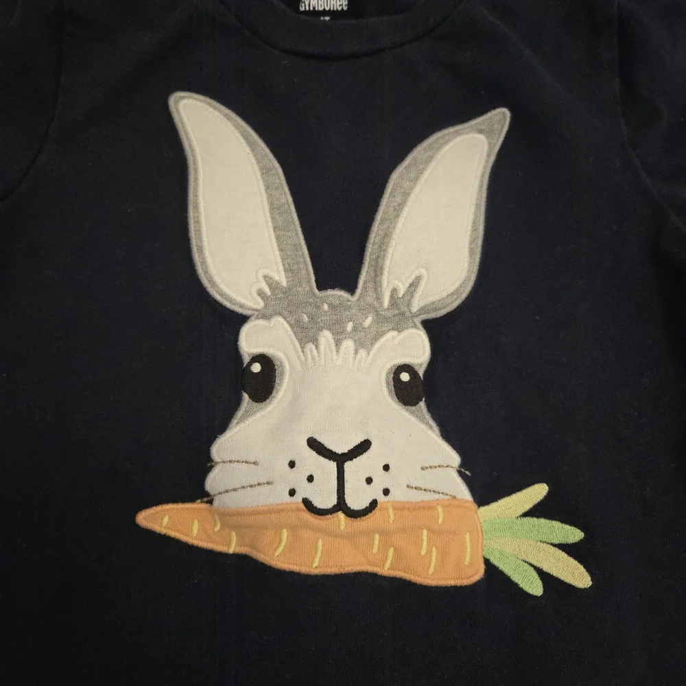 Gymboree shirt size